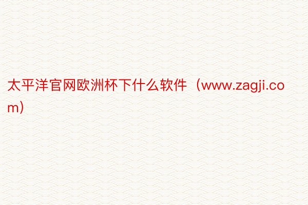 太平洋官网欧洲杯下什么软件（www.zagji.com）