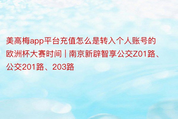 美高梅app平台充值怎么是转入个人账号的欧洲杯大赛时间 | 南京新辟智享公交Z01路、公交201路、203路